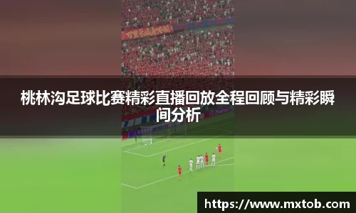 桃林沟足球比赛精彩直播回放全程回顾与精彩瞬间分析