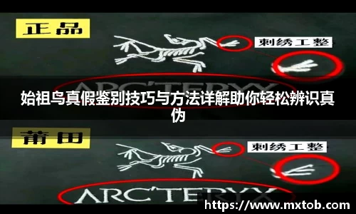 始祖鸟真假鉴别技巧与方法详解助你轻松辨识真伪