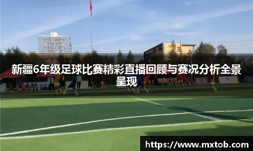 芒果体育APP