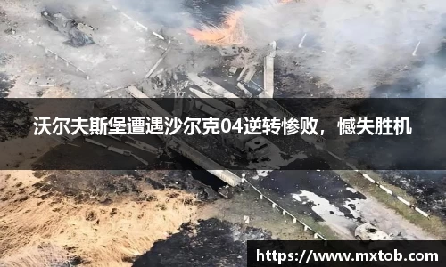 沃尔夫斯堡遭遇沙尔克04逆转惨败，憾失胜机